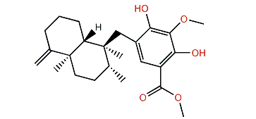 Langconol A